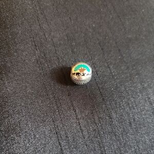 Pandora Disney Bead